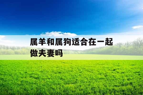 属羊和属狗适合在一起做夫妻吗