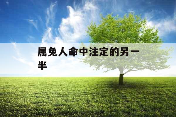 属兔人命中注定的另一半 属兔人命中注定的另一半