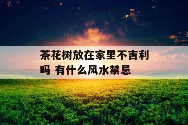 茶花树放在家里不吉利吗 有什么风水禁忌