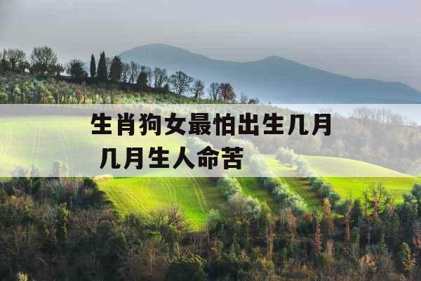 生肖狗女最怕出生几月 几月生人命苦