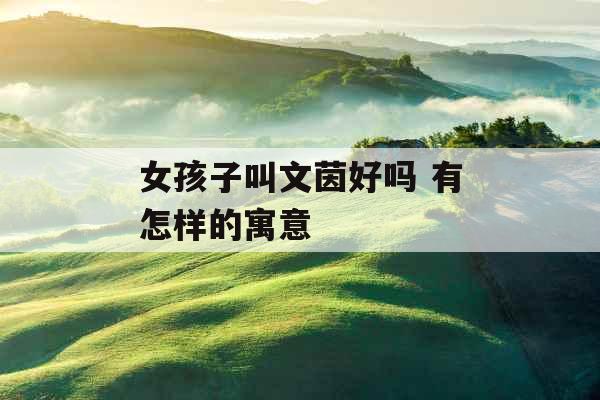 女孩子叫文茵好吗 有怎样的寓意
