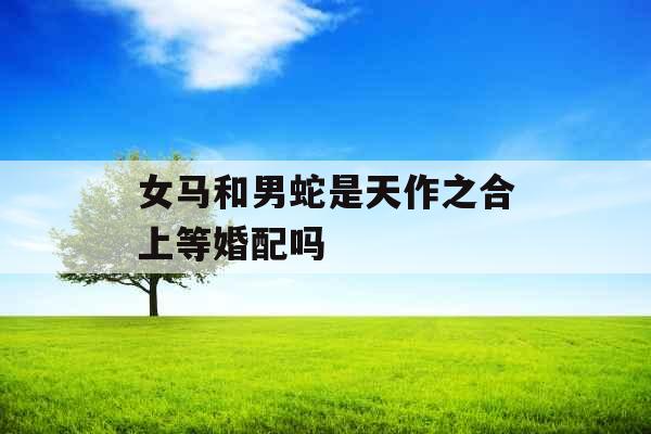 女马和男蛇是天作之合上等婚配吗