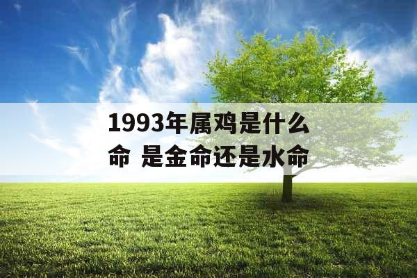 1993年属鸡是什么命 是金命还是水命