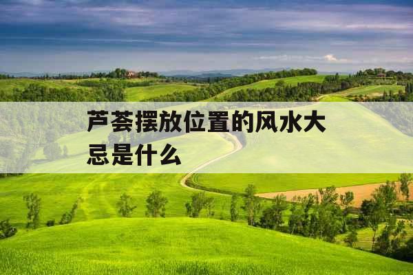 芦荟摆放位置的风水大忌是什么