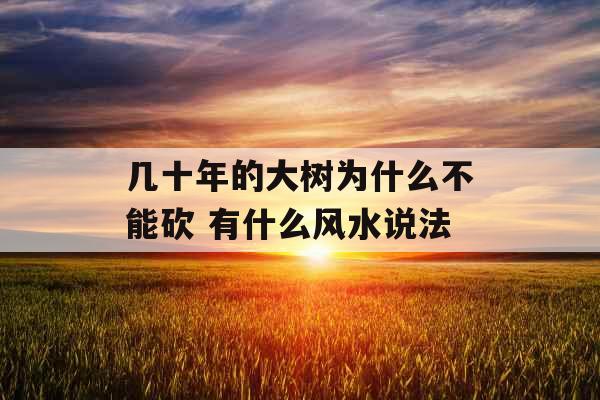 几十年的大树为什么不能砍 有什么风水说法