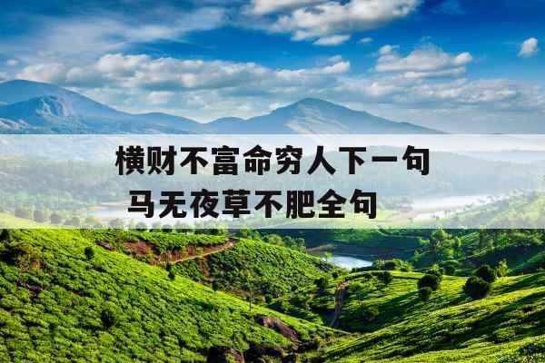 横财不富命穷人下一句 马无夜草不肥全句