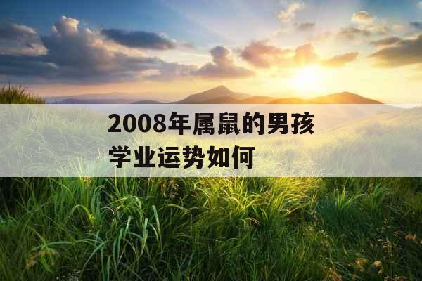 2008年属鼠的男孩学业运势如何