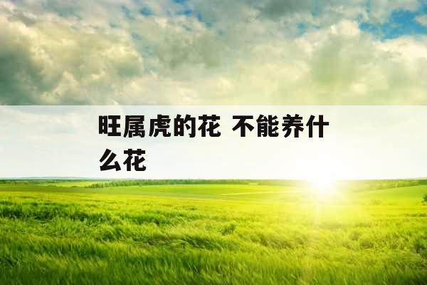 旺属虎的花 不能养什么花