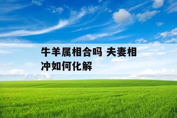 牛羊属相合吗 夫妻相冲如何化解