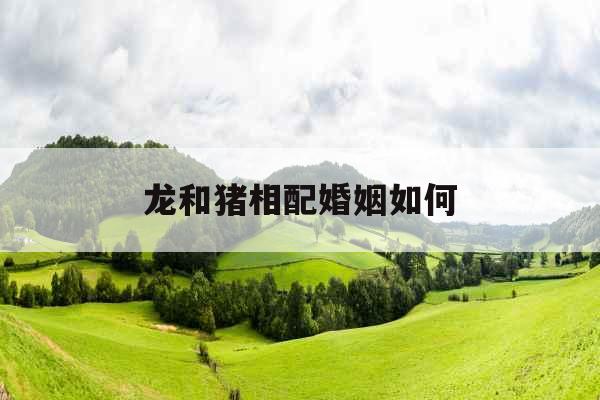 龙和猪相配婚姻如何