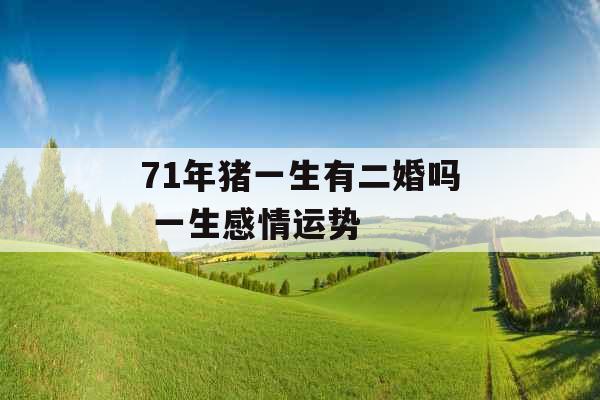 71年猪一生有二婚吗 一生感情运势