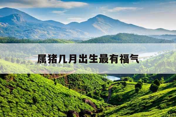 属猪几月出生最有福气