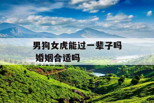 男狗女虎能过一辈子吗 婚姻合适吗