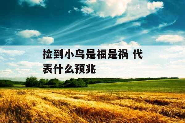 捡到小鸟是福是祸 代表什么预兆