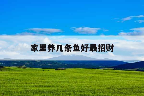 家里养几条鱼好最招财