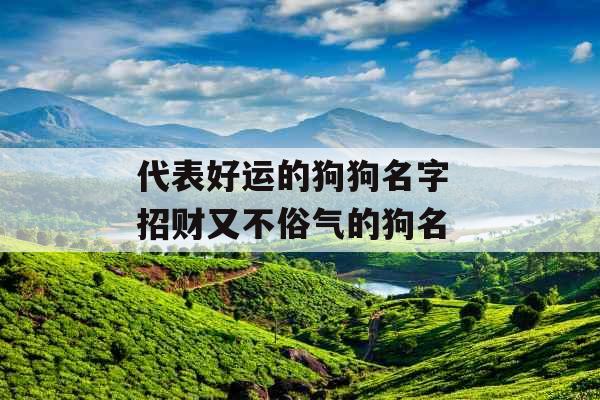 代表好运的狗狗名字 招财又不俗气的狗名
