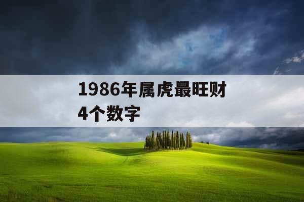 1986年属虎最旺财4个数字