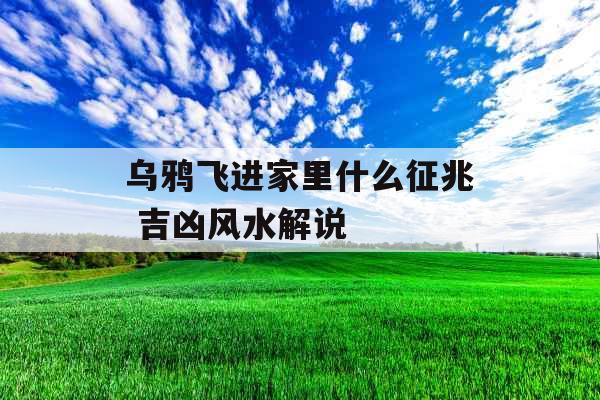 乌鸦飞进家里什么征兆 吉凶风水解说