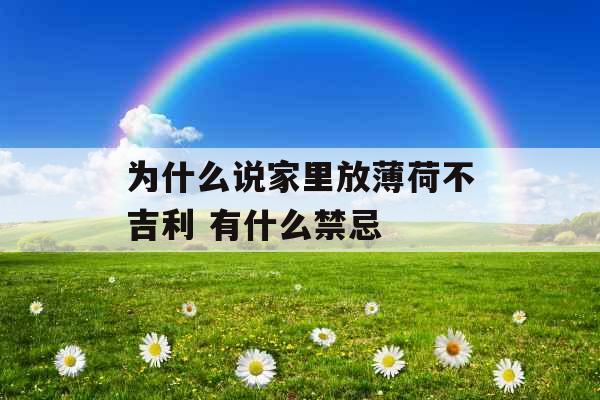 为什么说家里放薄荷不吉利 有什么禁忌