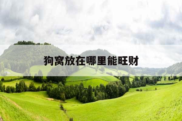狗窝放在哪里能旺财