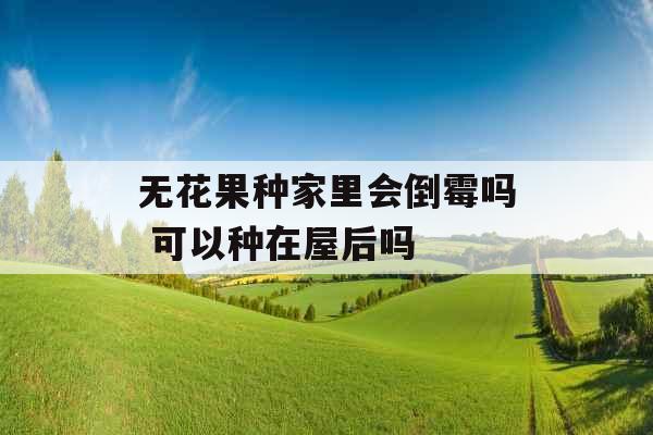 无花果种家里会倒霉吗 可以种在屋后吗