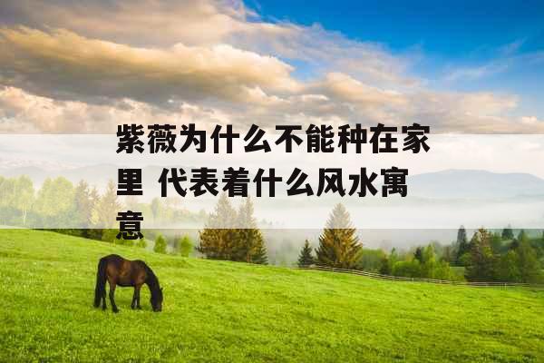 紫薇为什么不能种在家里 代表着什么风水寓意