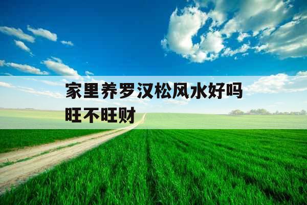 家里养罗汉松风水好吗旺不旺财