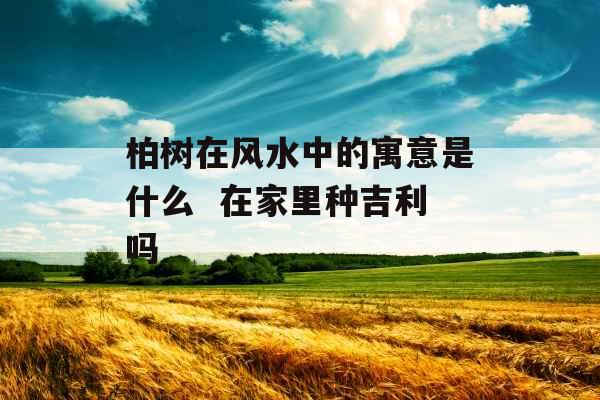 柏树在风水中的寓意是什么 在家里种吉利吗 柏树在风水中的寓意是什么 在家里种吉利吗