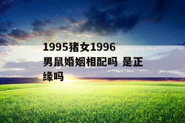 1995猪女1996男鼠婚姻相配吗 是正缘吗 1995猪女1996男鼠婚姻相配吗 是正缘吗