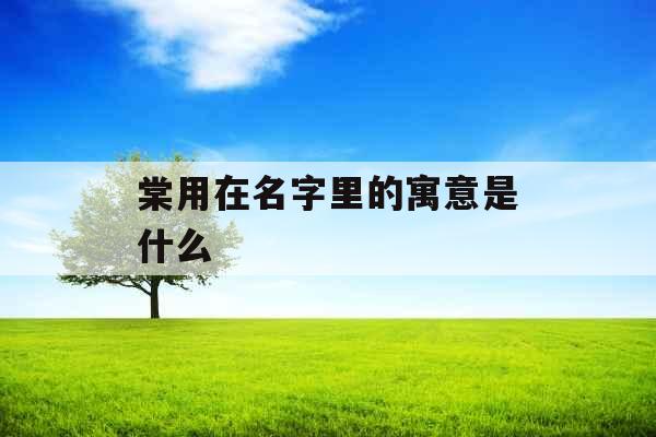 棠用在名字里的寓意是什么