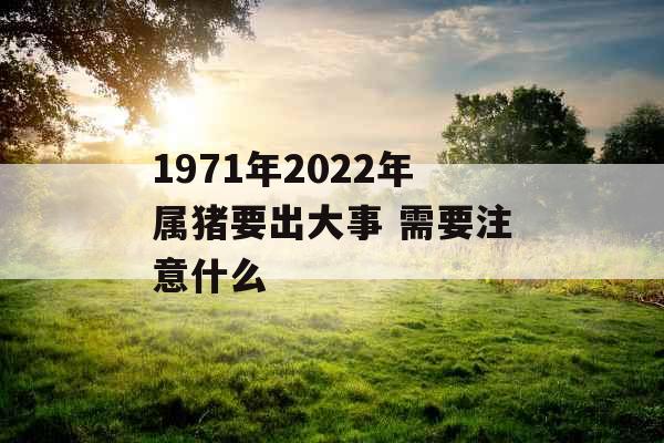1971年2022年属猪要出大事 需要注意什么