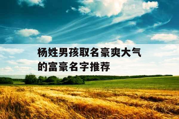 杨姓男孩取名豪爽大气的富豪名字推荐