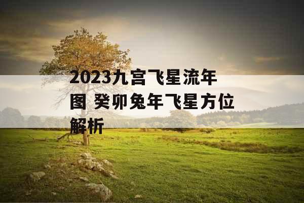 2023九宫飞星流年图 癸卯兔年飞星方位解析