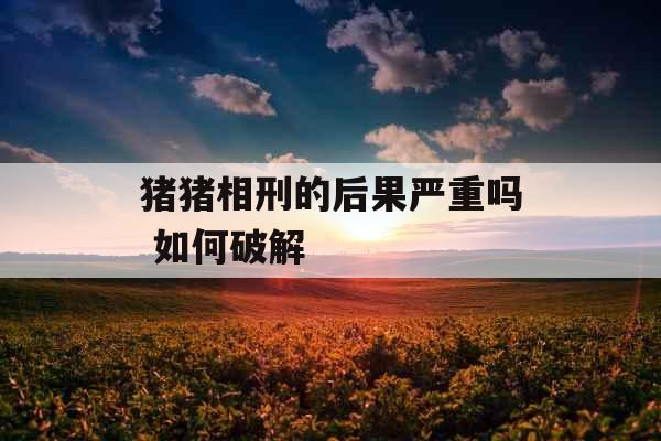猪猪相刑的后果严重吗 如何破解
