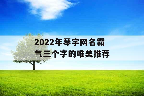 2022年琴字网名霸气三个字的唯美推荐