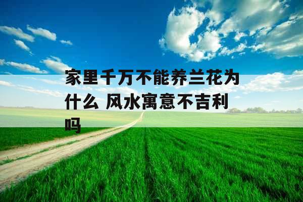家里千万不能养兰花为什么 风水寓意不吉利吗