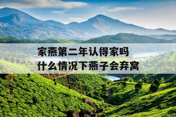 家燕第二年认得家吗 什么情况下燕子会弃窝 家燕第二年认得家吗 什么情况下燕子会弃窝