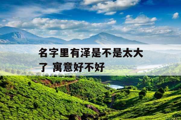 名字里有泽是不是太大了 寓意好不好