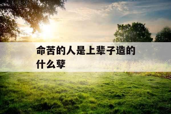 命苦的人是上辈子造的什么孽 命苦的人是上辈子造的什么孽