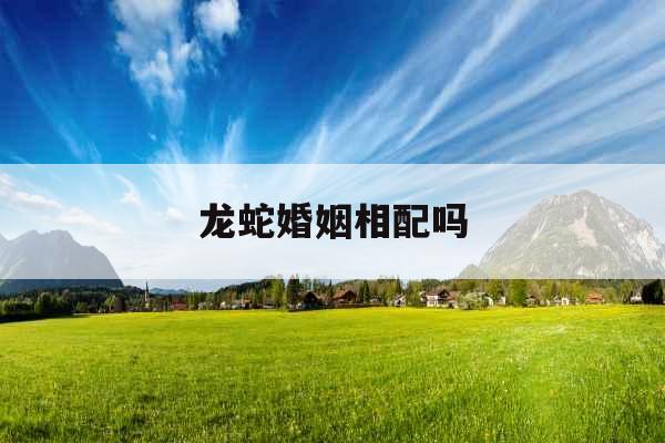 龙蛇婚姻相配吗