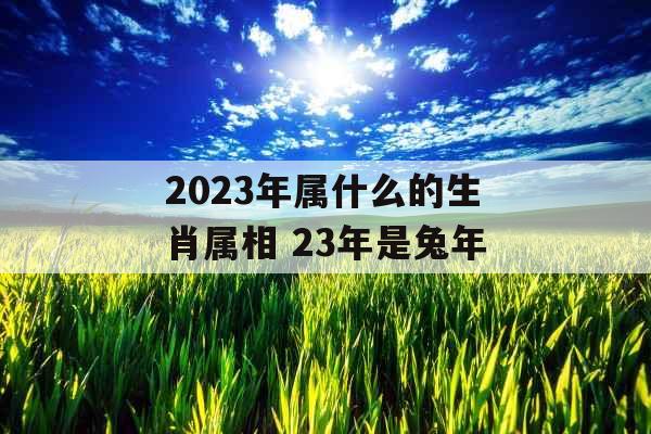 2023年属什么的生肖属相 23年是兔年