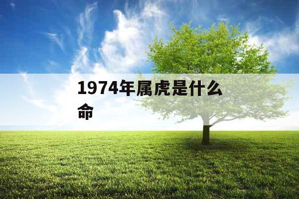 1974年属虎是什么命 1974年属虎是什么命