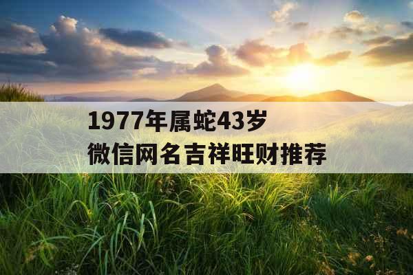 1977年属蛇43岁微信网名吉祥旺财推荐
