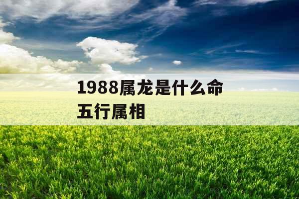 1988属龙是什么命五行属相