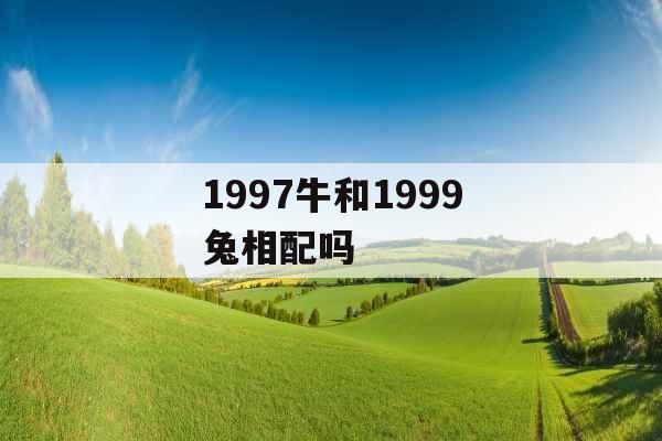 1997牛和1999兔相配吗