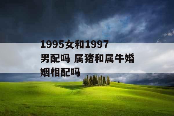 1995女和1997男配吗 属猪和属牛婚姻相配吗
