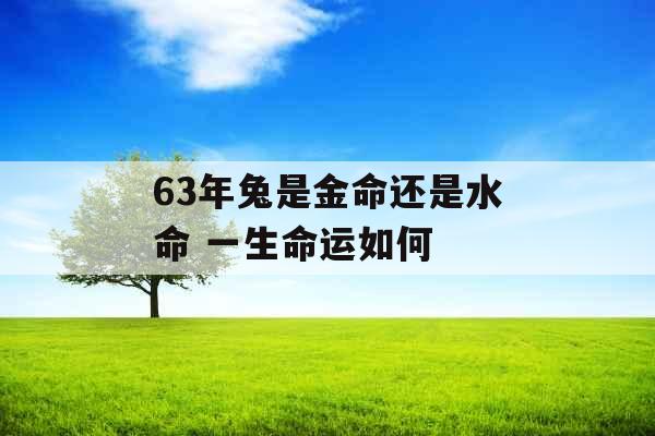 63年兔是金命还是水命 一生命运如何