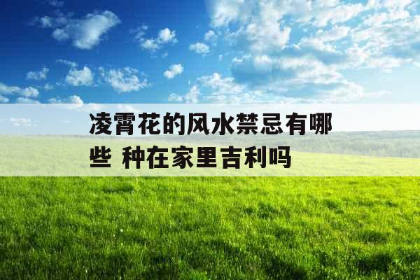 凌霄花的风水禁忌有哪些 种在家里吉利吗