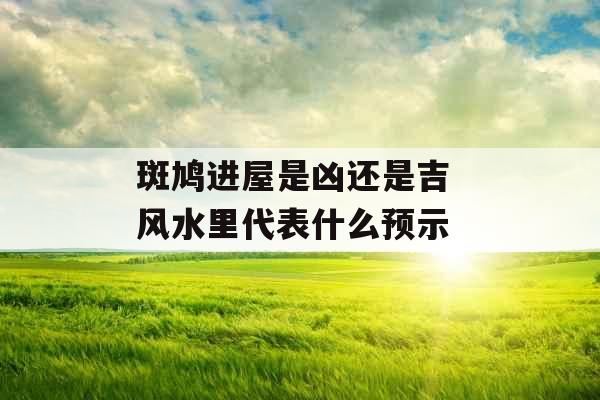 斑鸠进屋是凶还是吉 风水里代表什么预示