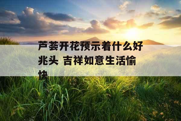 芦荟开花预示着什么好兆头 吉祥如意生活愉快